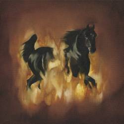 The Besnard Lakes : The Besnard Lakes Are the Dark Horse